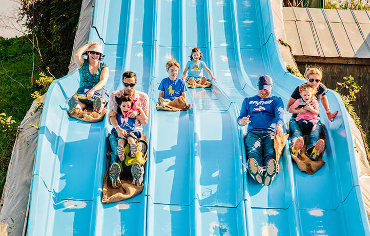 Slide into the fun