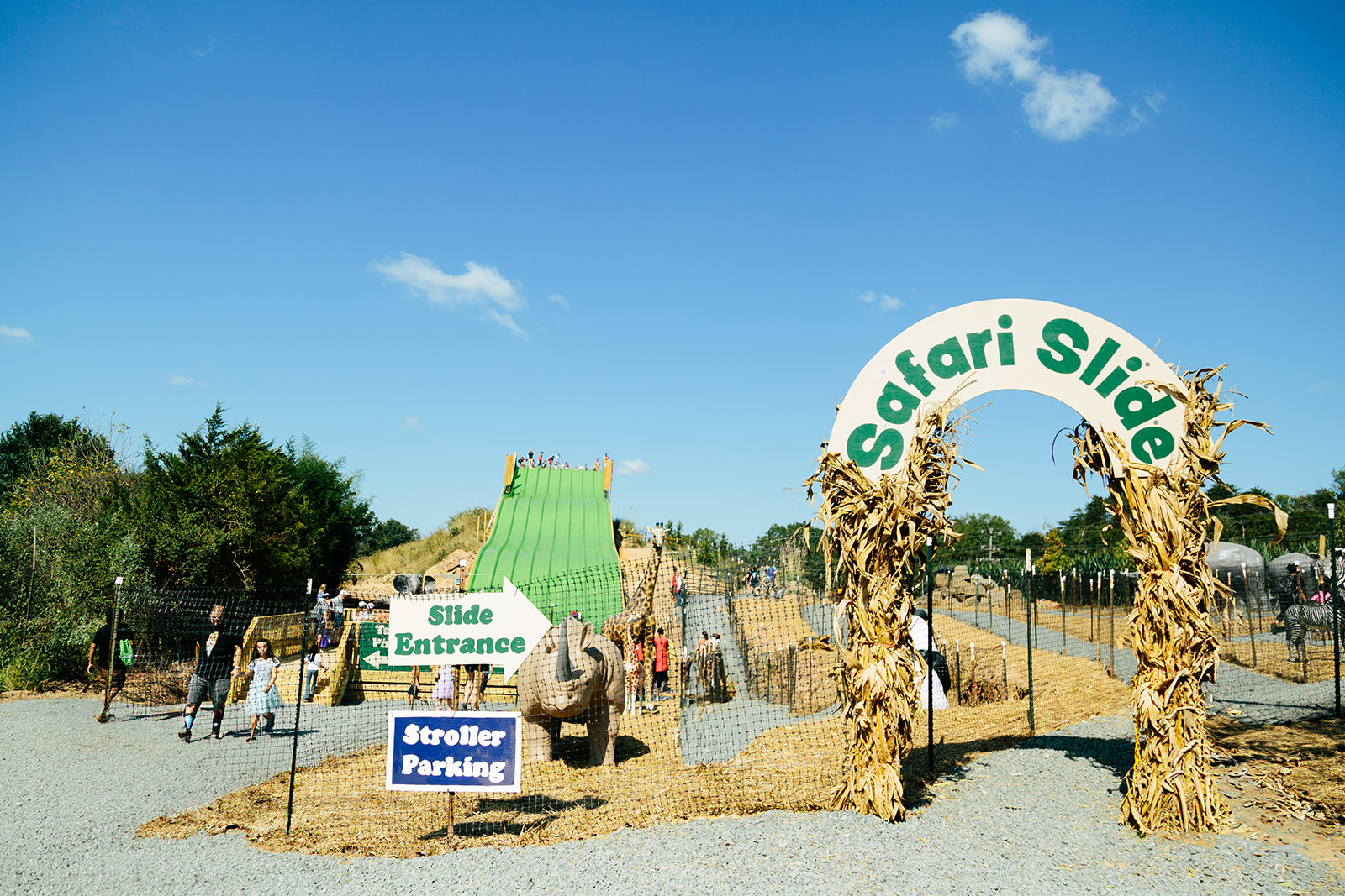Colorful giant slides at Cox Farms